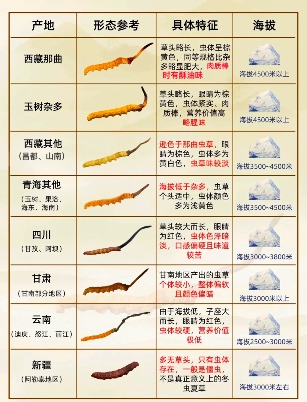 使用方法:科学搭配更有效