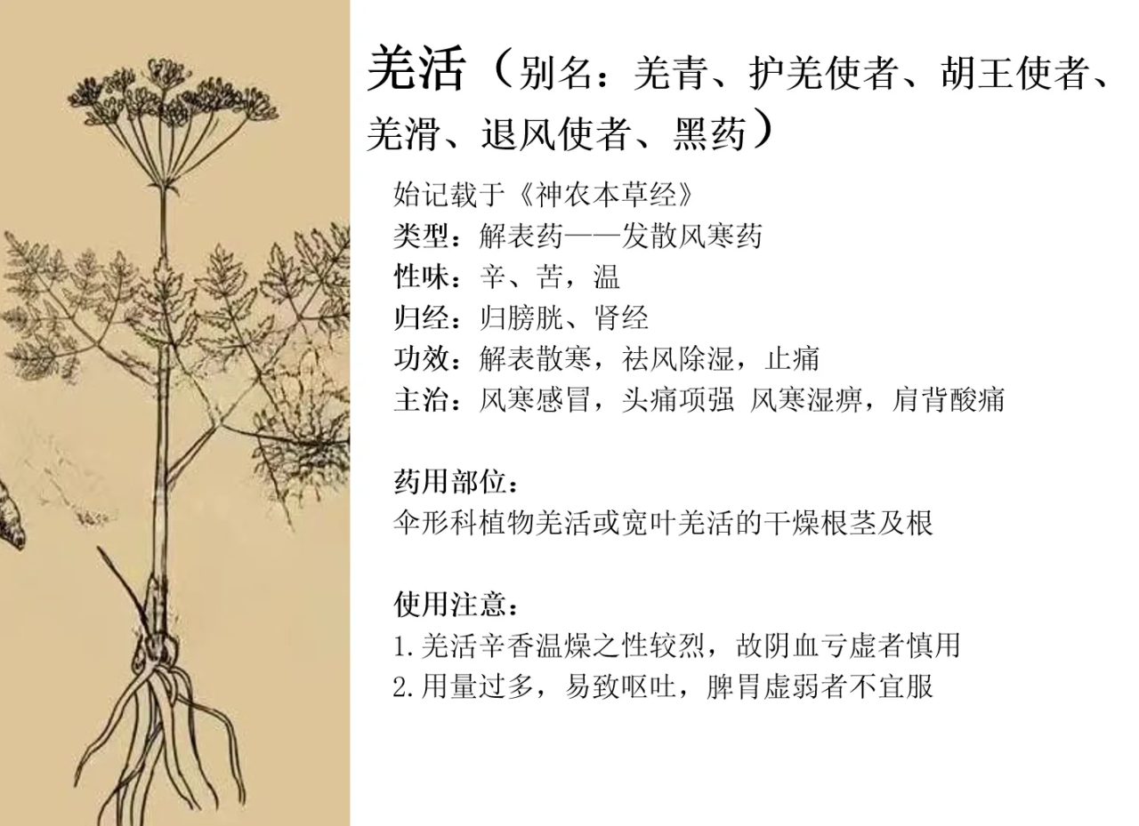 适用人群:适合哪些人使用?