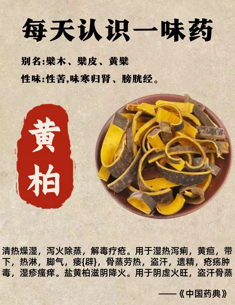 日常养生,不可或缺