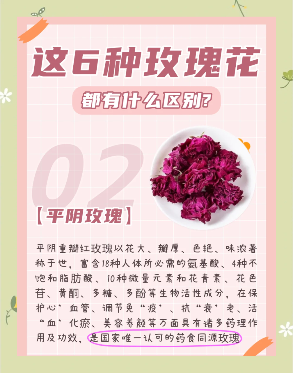 保持健康的好助手