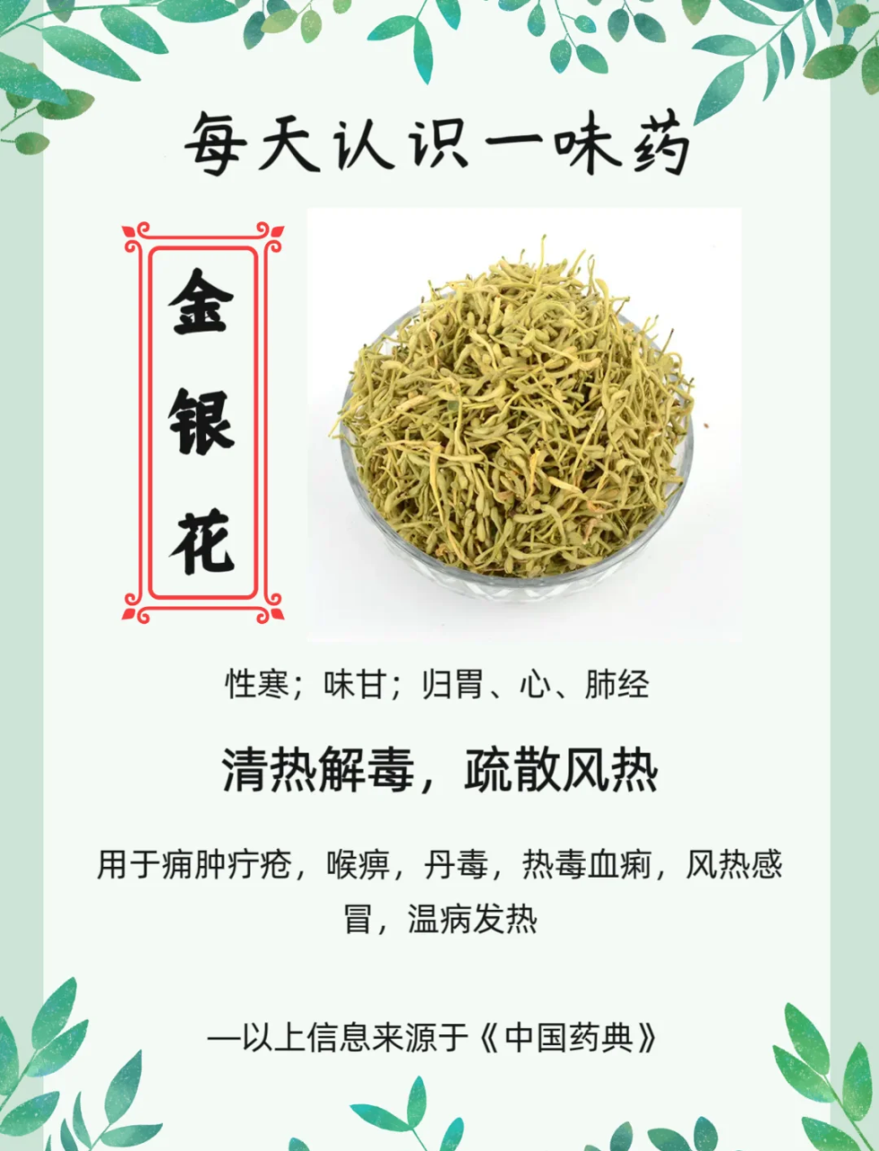 抗菌消炎的天然力量