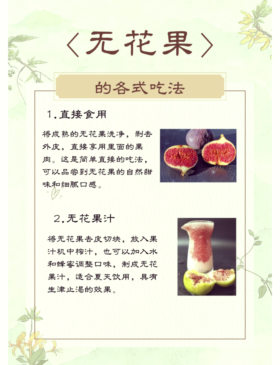 助力肠道健康,改善便秘