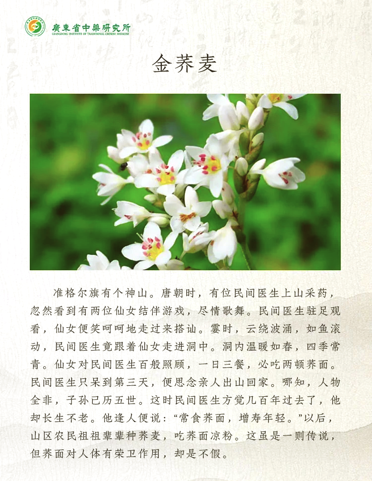 帮助消化,促进代谢