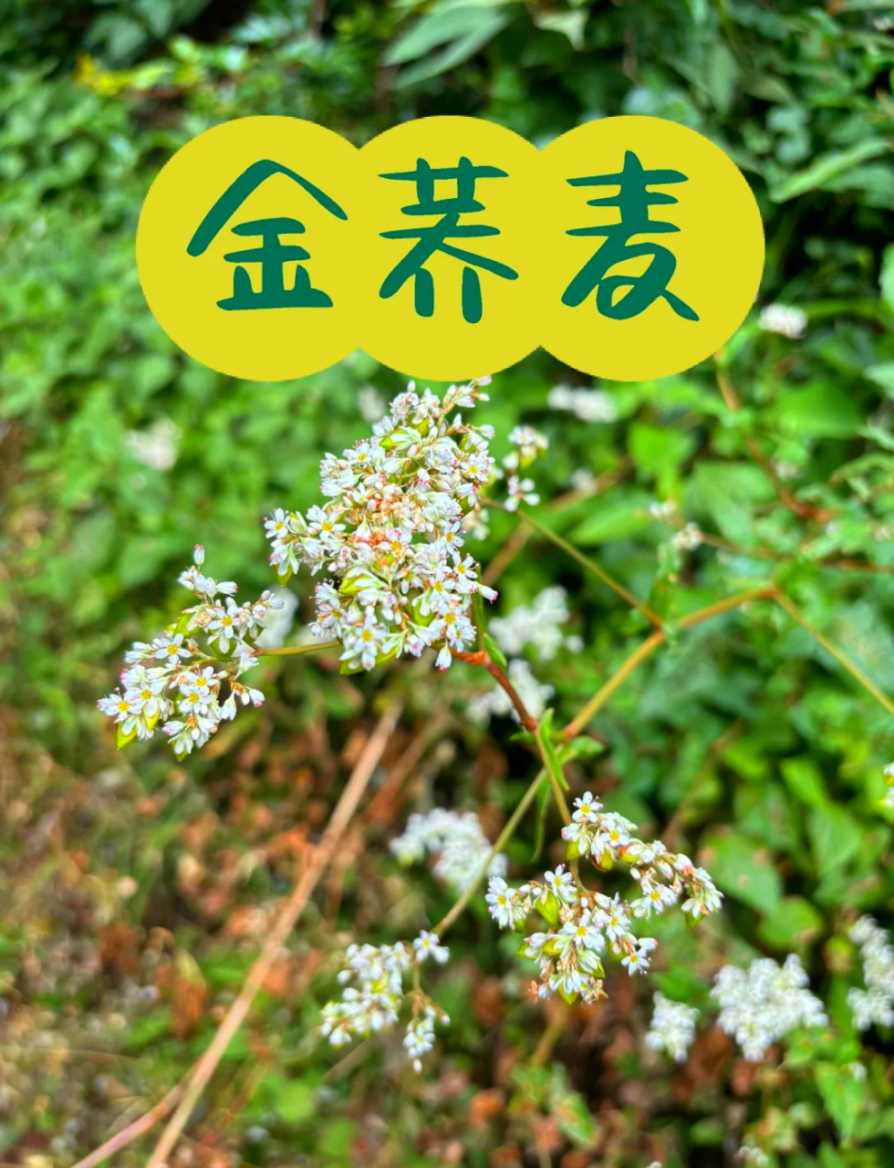 日常应用小贴士