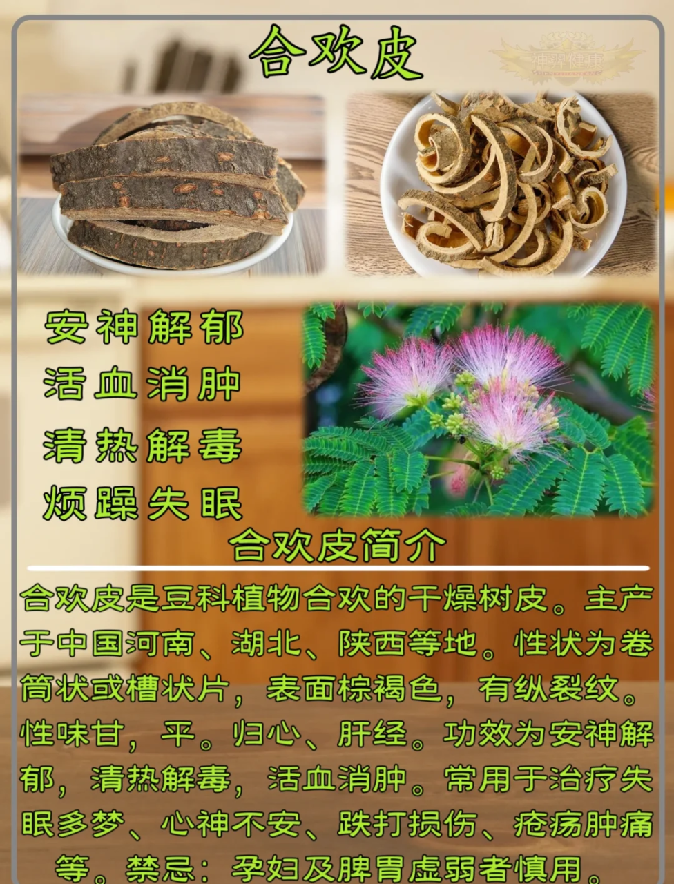 现代研究与应用拓展