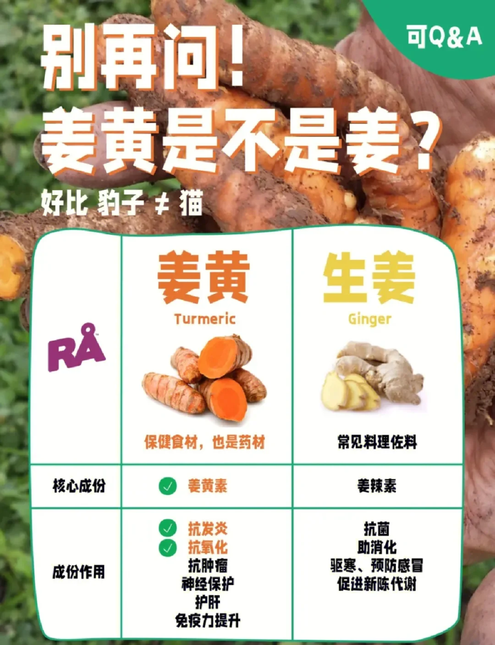 缓解感冒,增强免疫力