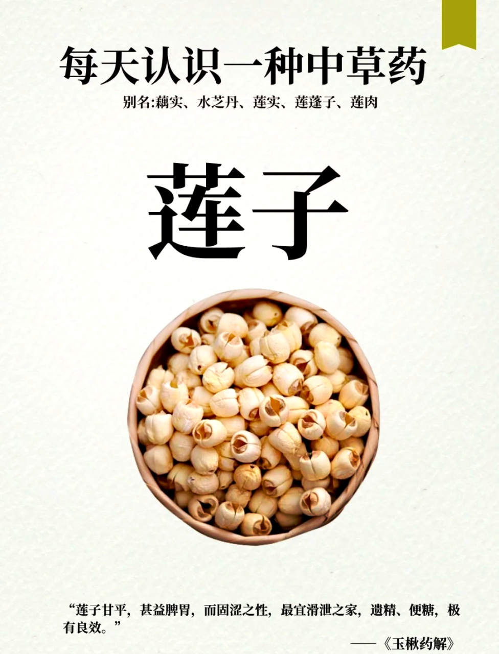 功效多样,养生佳品