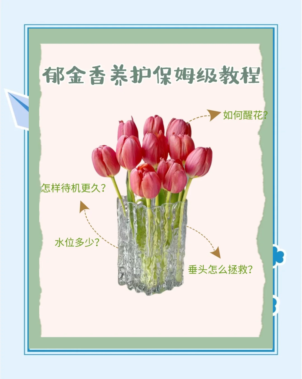 疏肝理气的良方