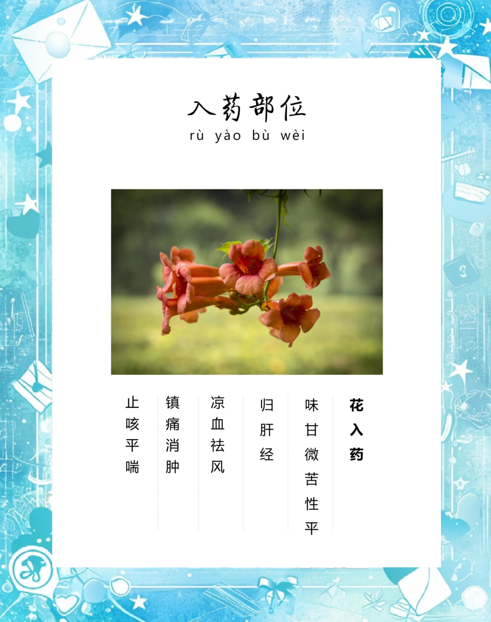 活血化瘀，改善血液循环