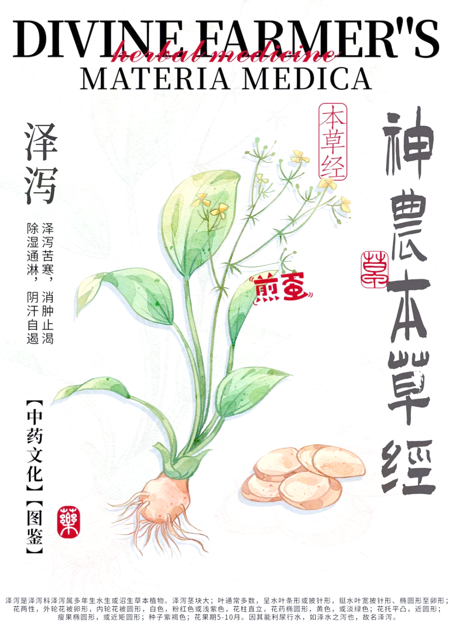 对肾脏健康的积极作用