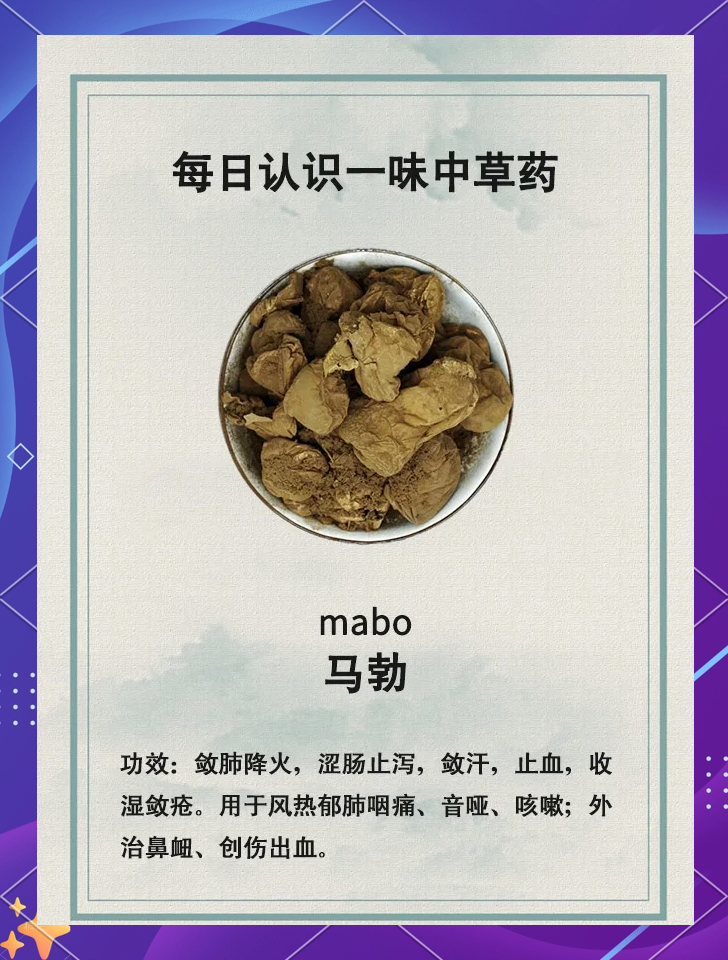 日常保健,不可忽视的小众药材