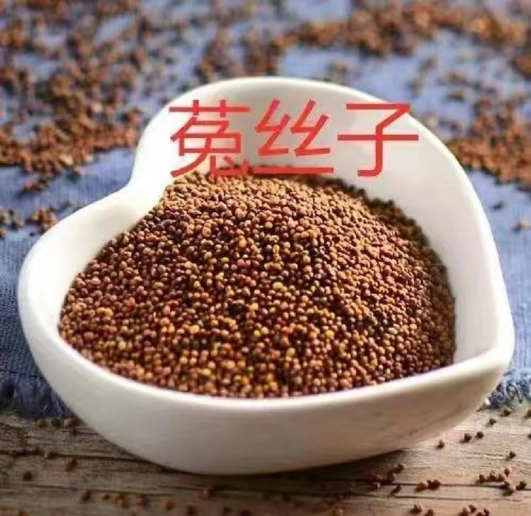 如何正确使用菟丝子