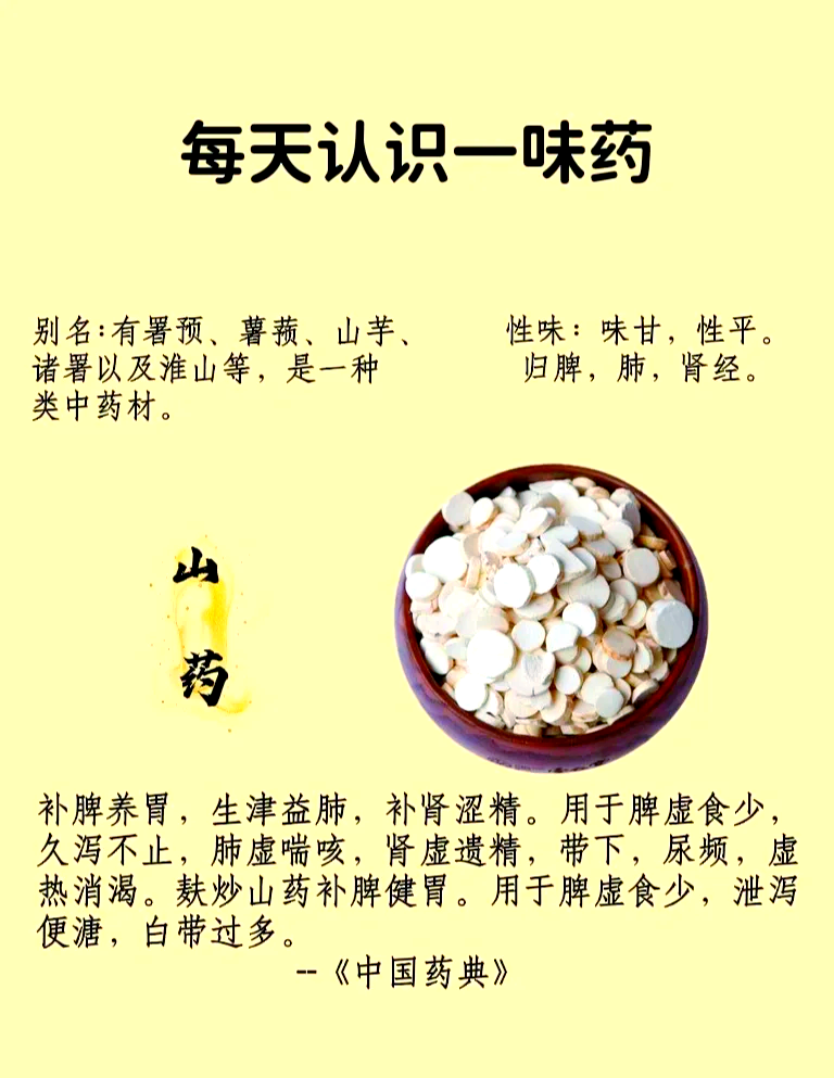 对肠胃健康有积极作用