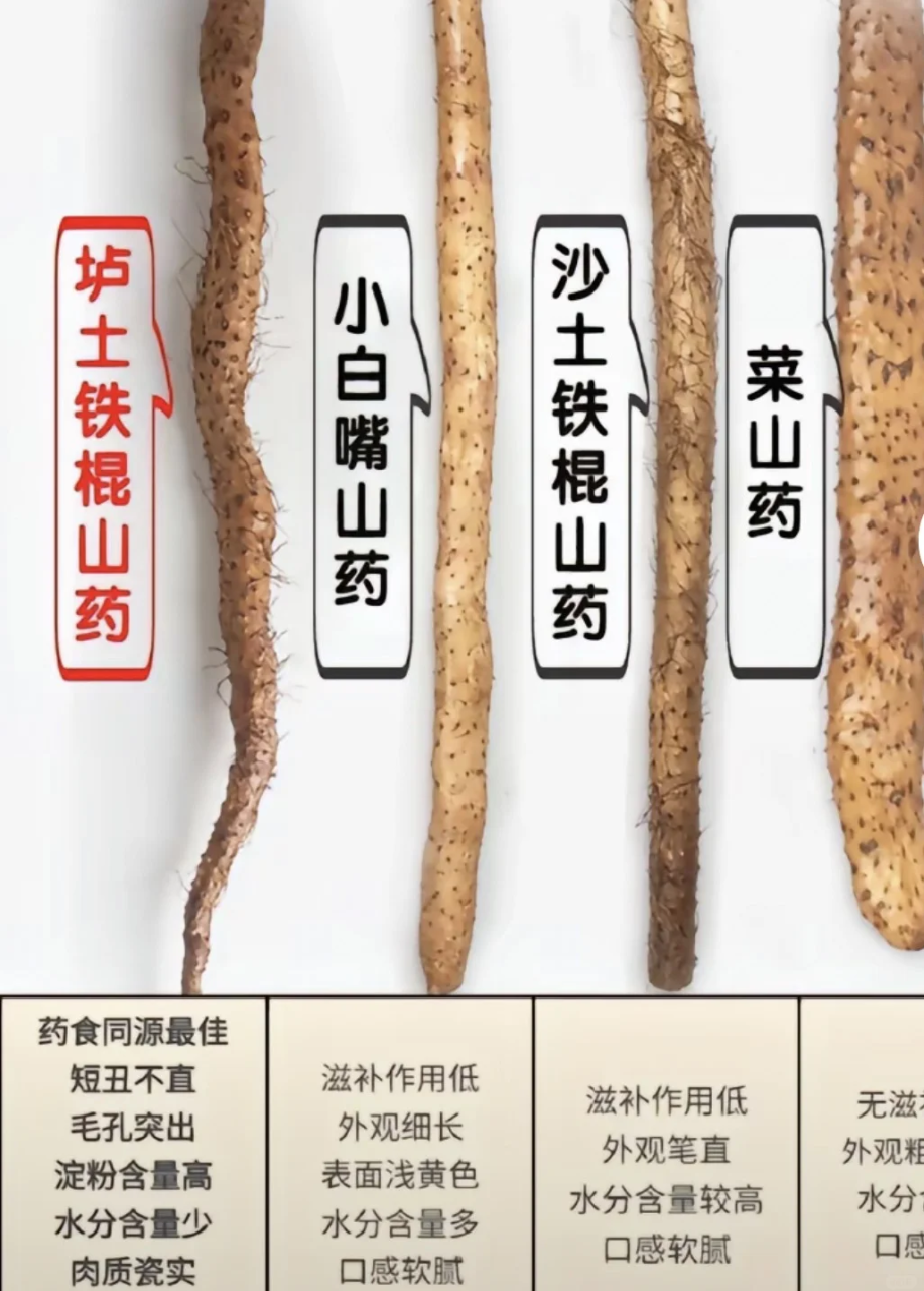 适合四季食用,老少皆宜