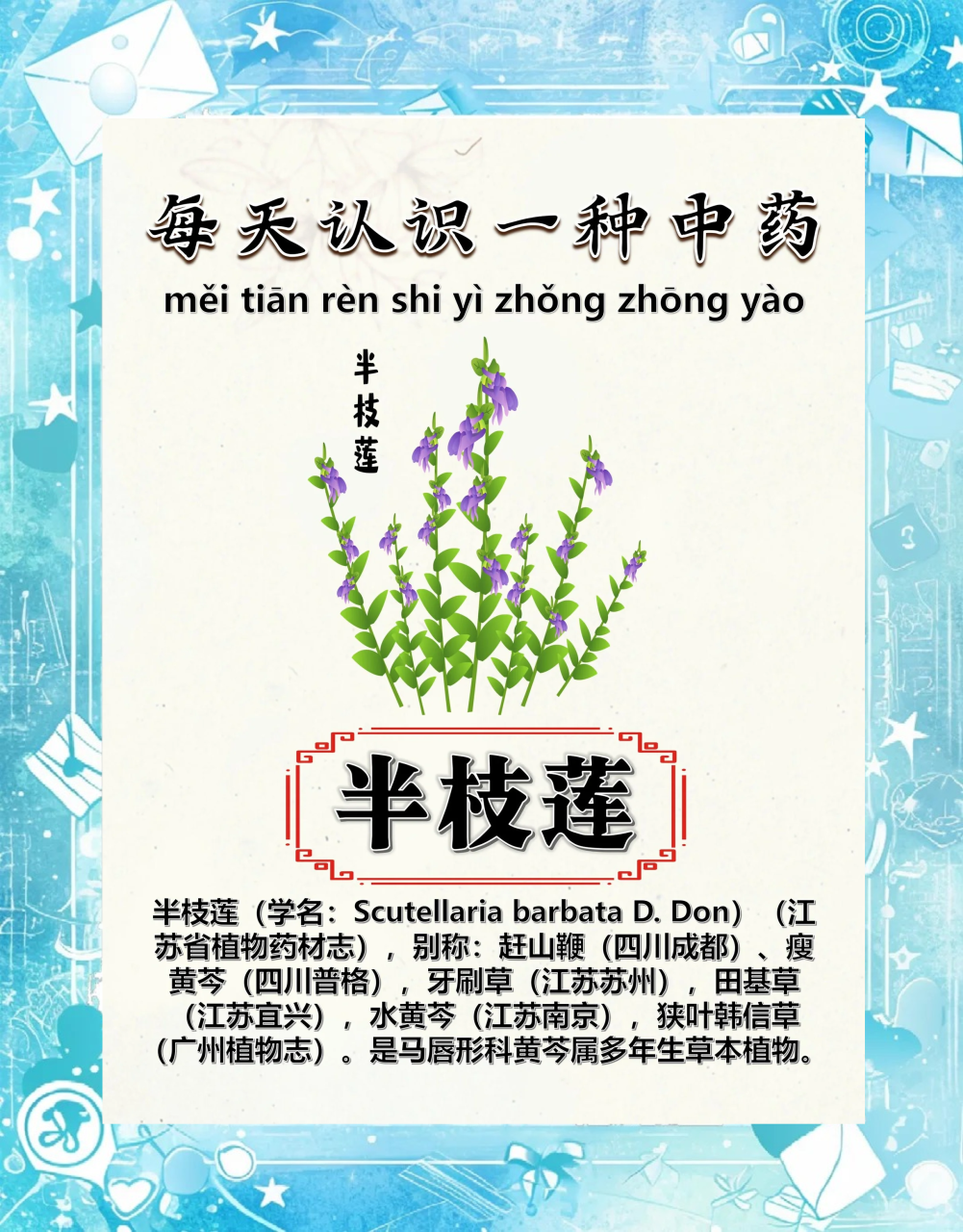 抗癌辅助,增强免疫力