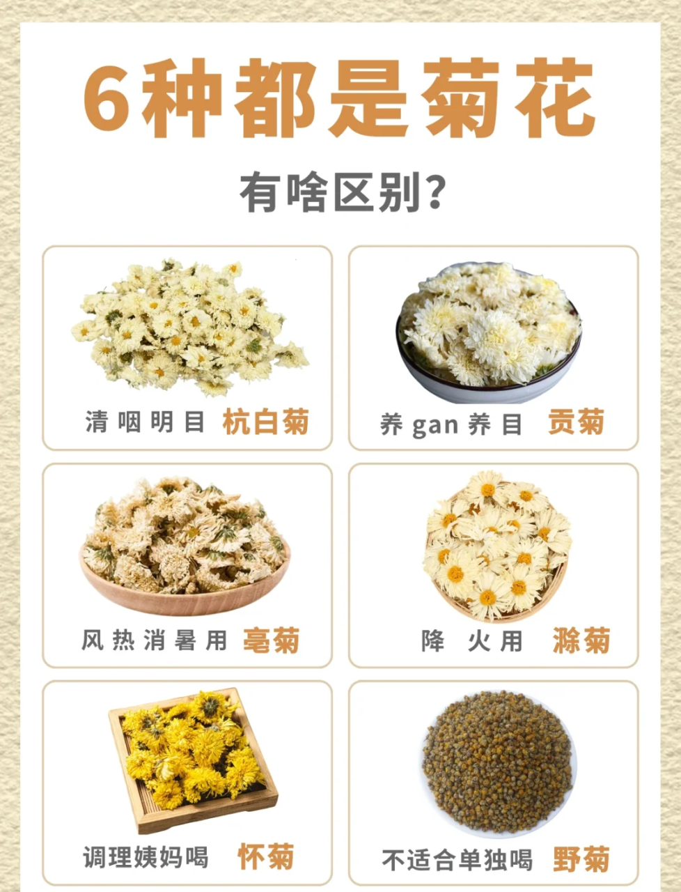 传统与现代的完美结合