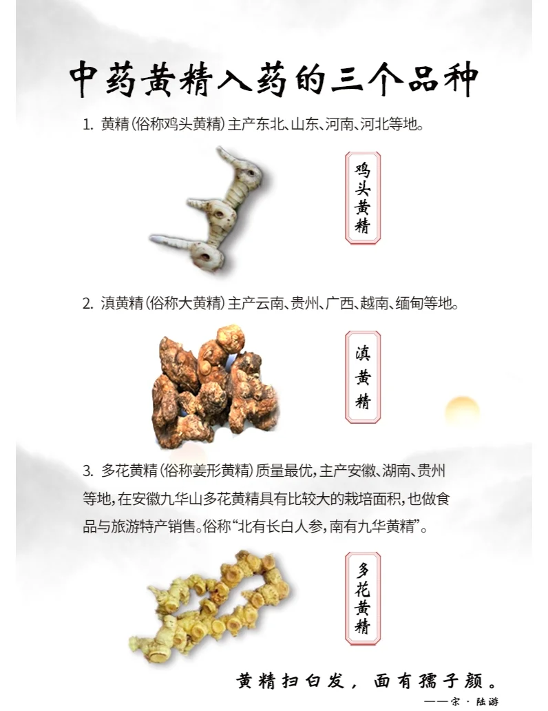 黄精的日常食用方式