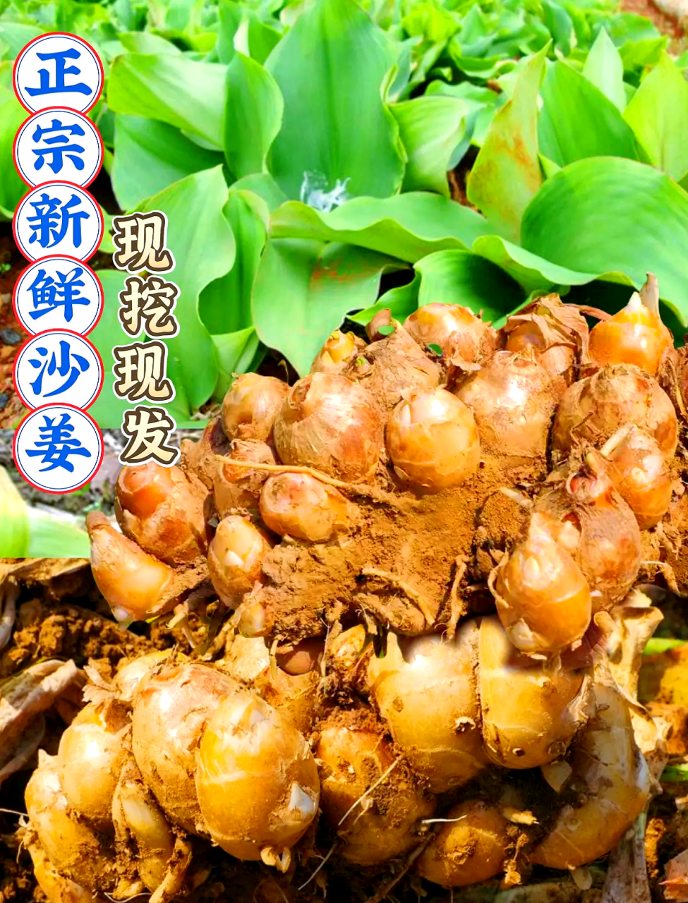 烹饪中的点睛之笔