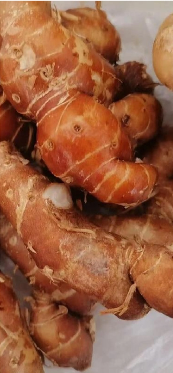 选择与保存的小贴士