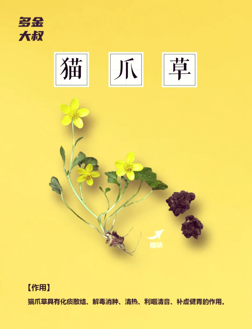 增强免疫力,调理身体