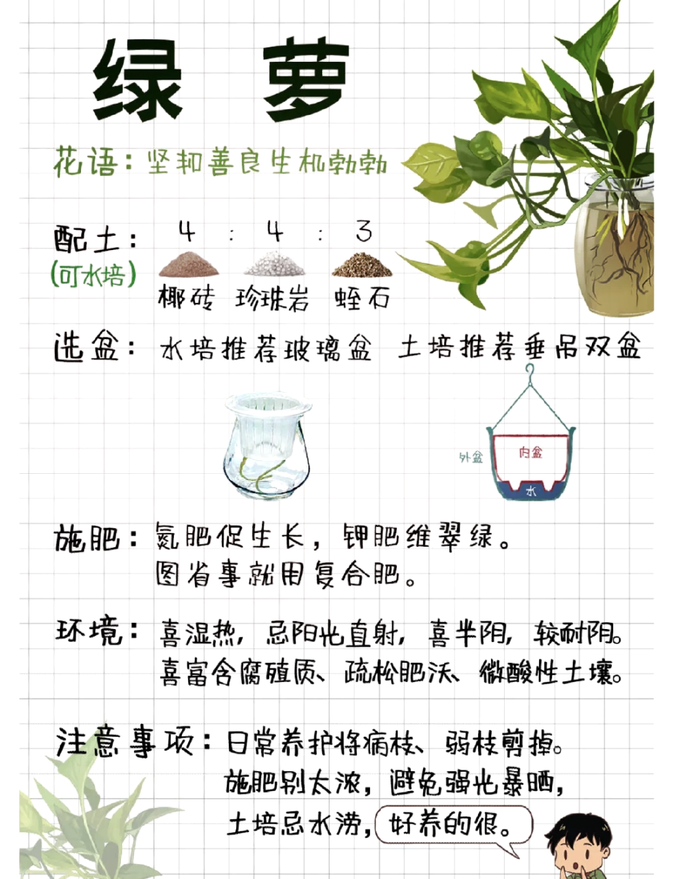 日常生活的贴心伴侣