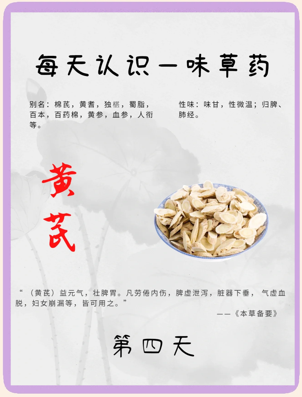 黄芪从中医眼里