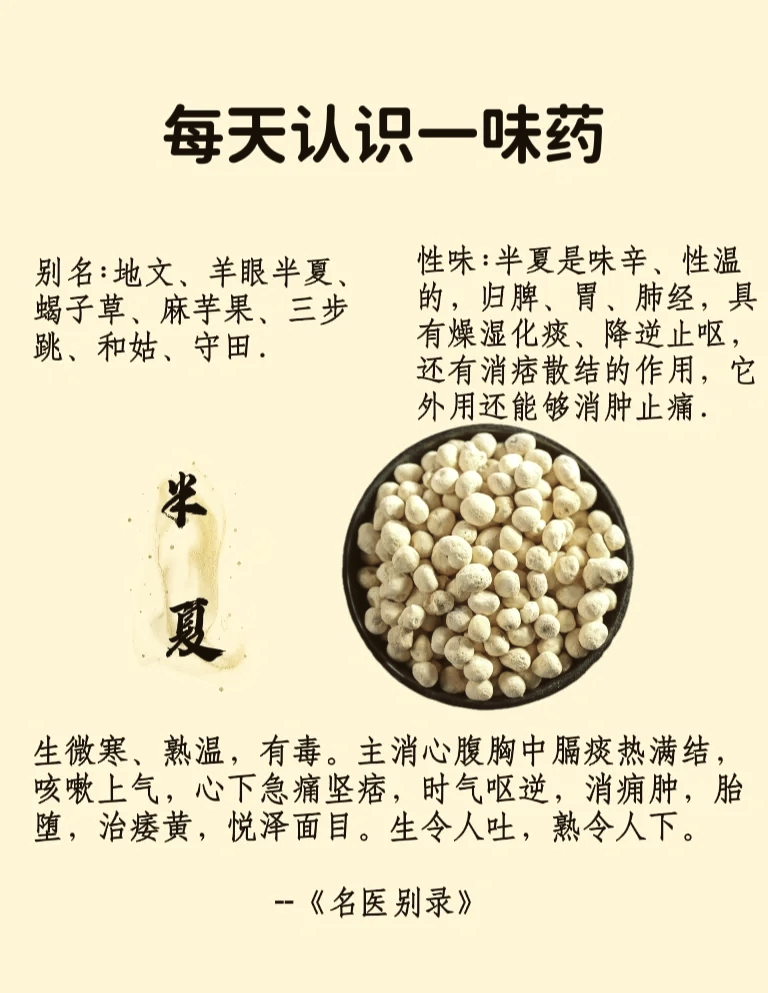 如何正确使用姜半夏