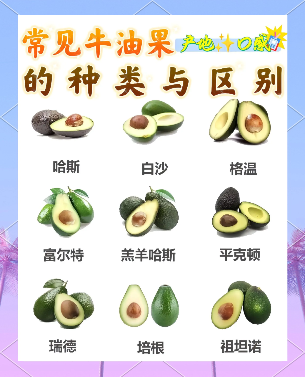 牛油果的健康益处