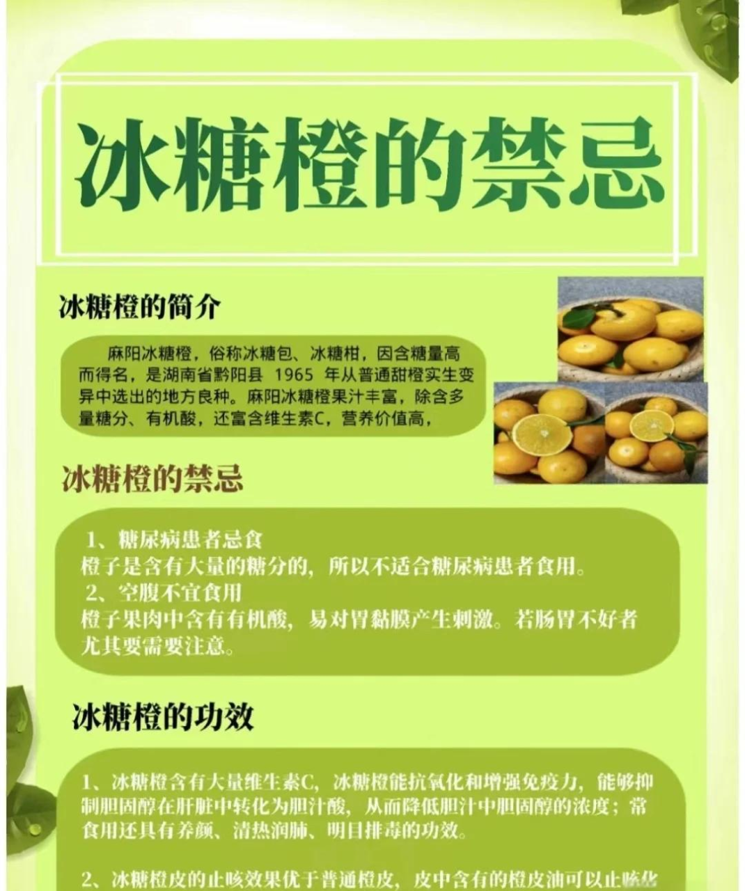 适合人群与使用建议