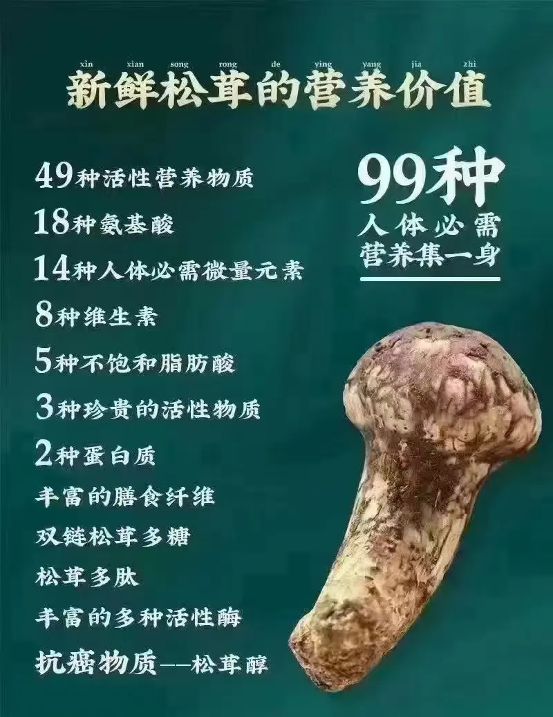 促消化,改善肠道