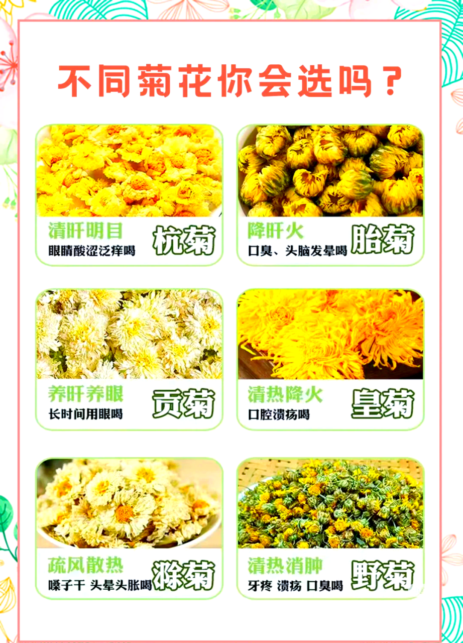 适合各类人群的养生选择