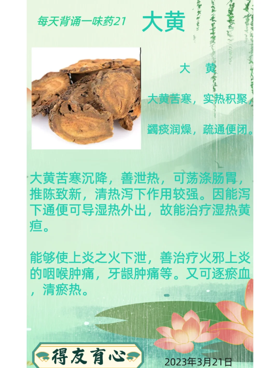 清热解毒,缓解炎症