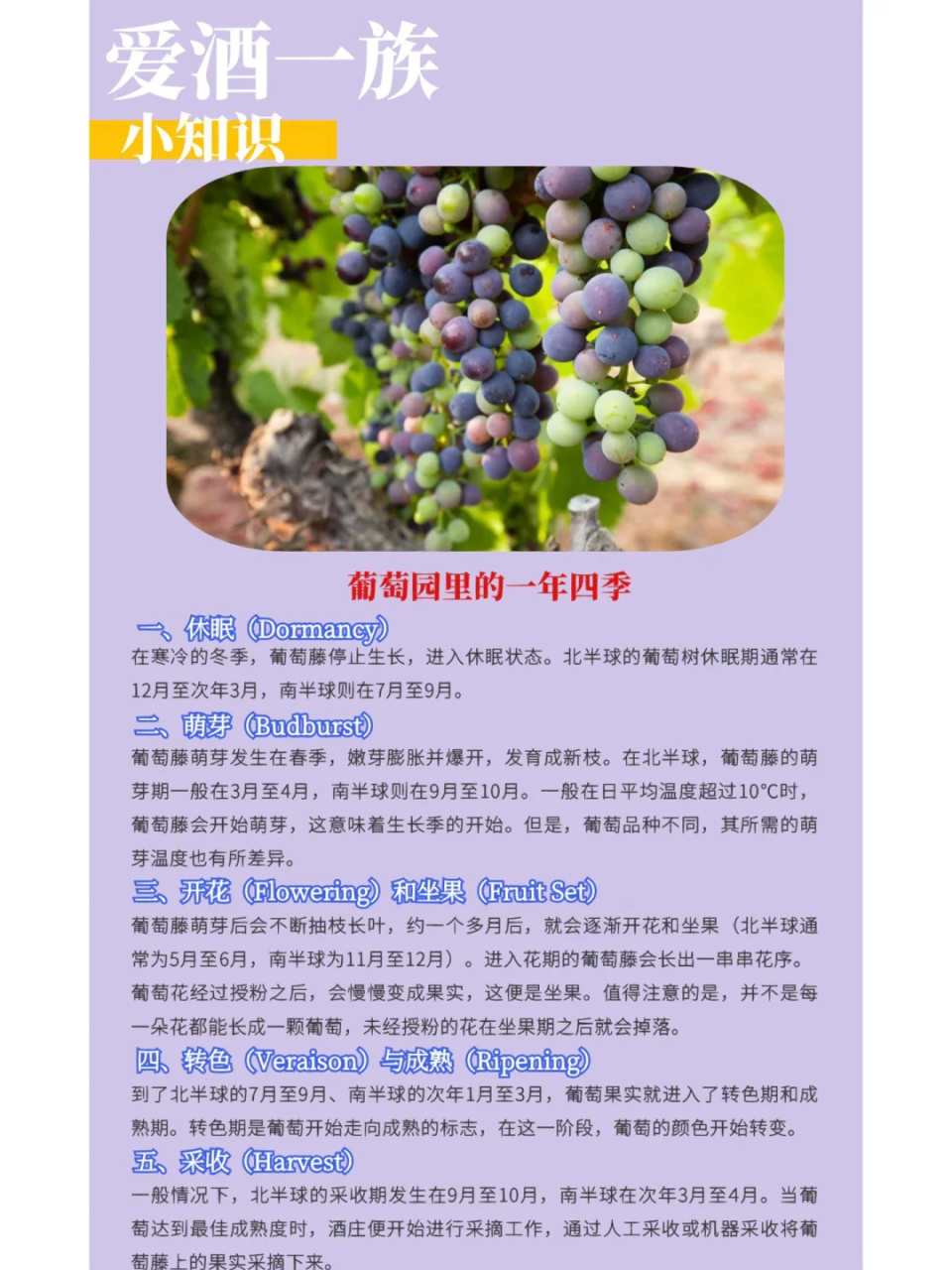 增强免疫力,延缓衰老