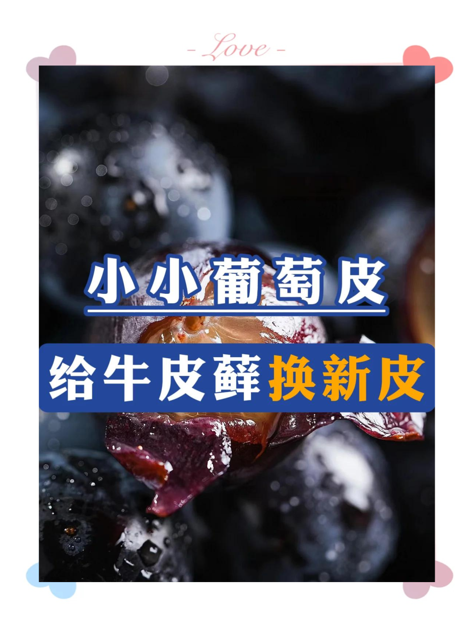 小贴士:如何更好地利用葡萄皮
