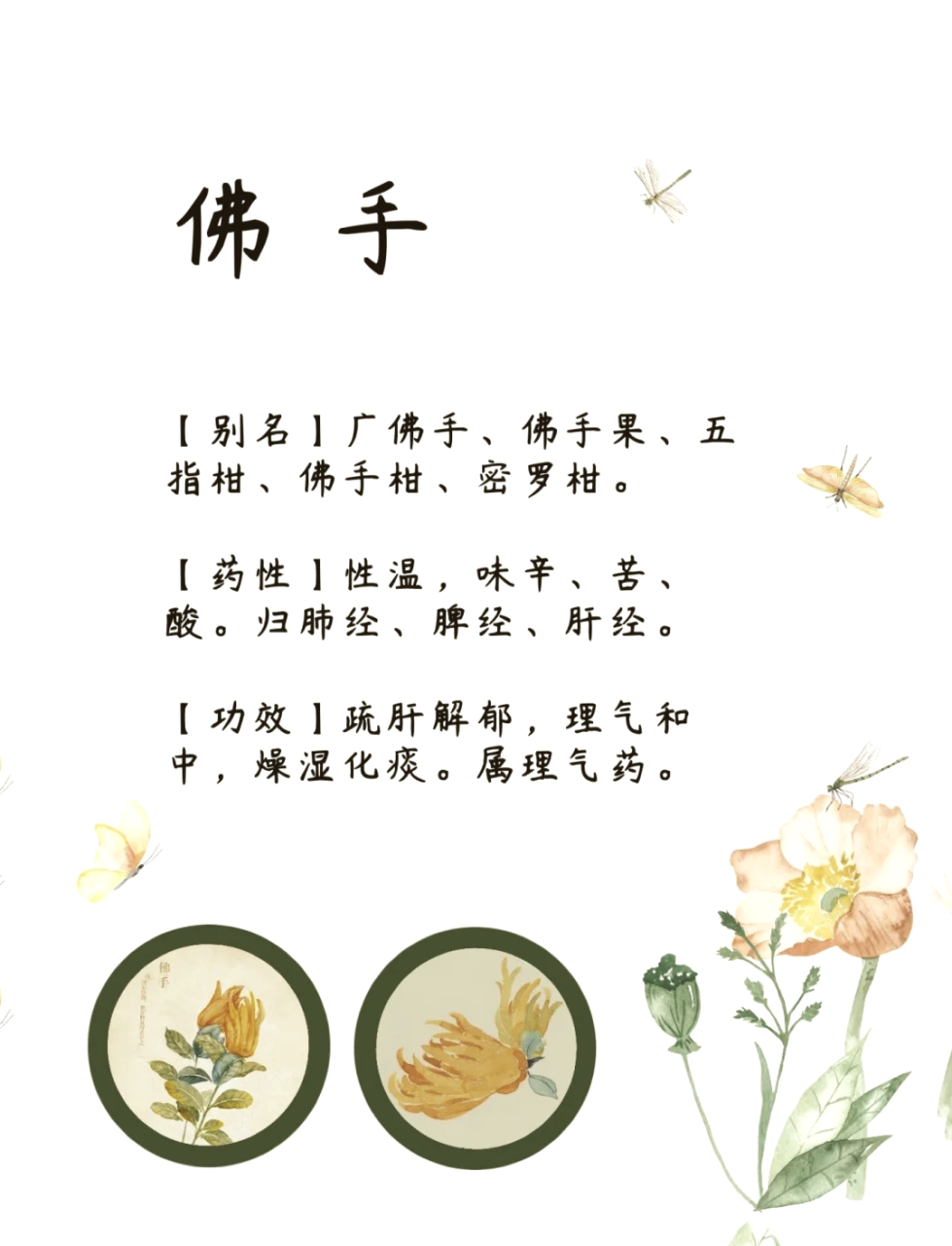 日常保健的好帮手