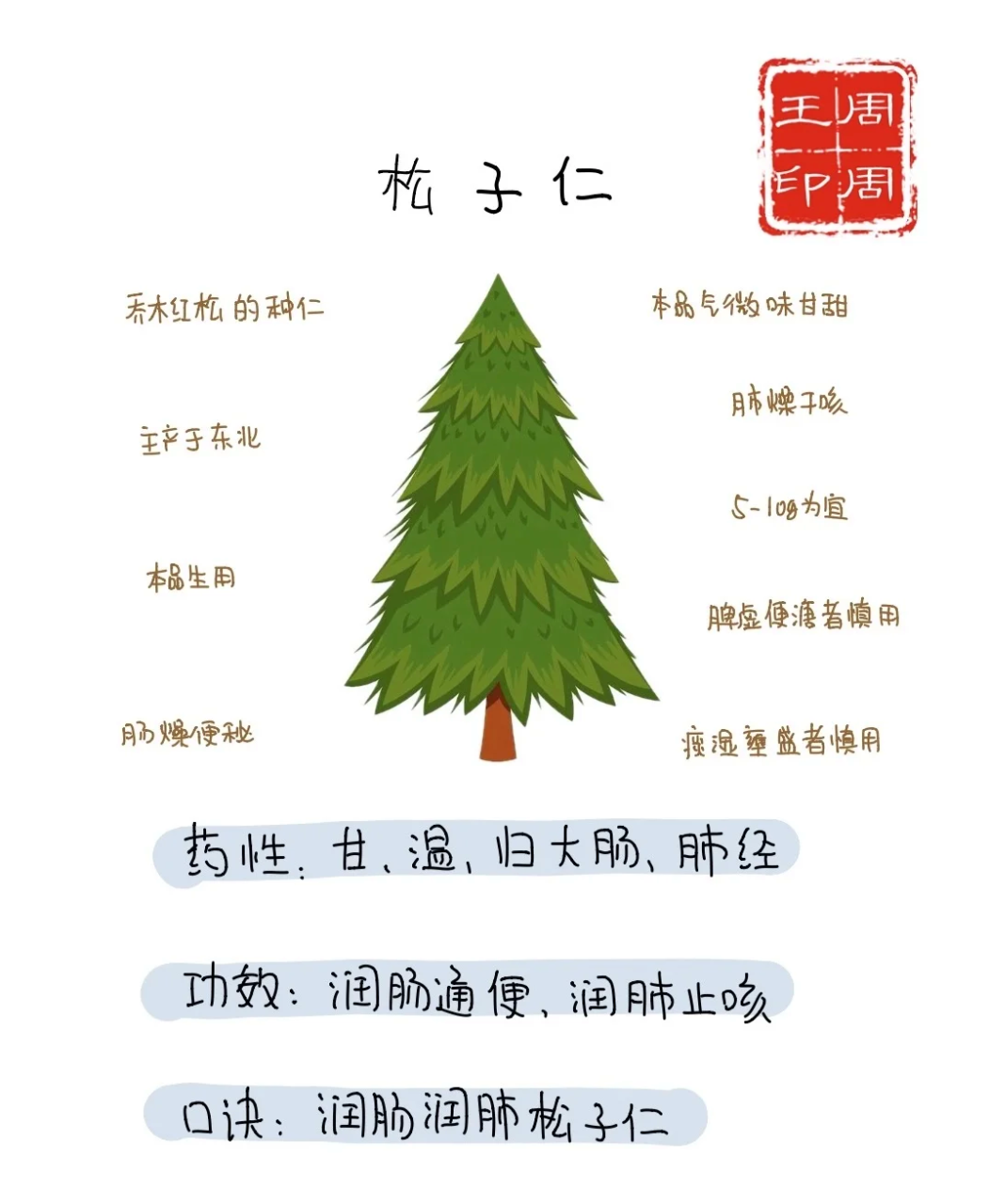 小小松子,大大的好处