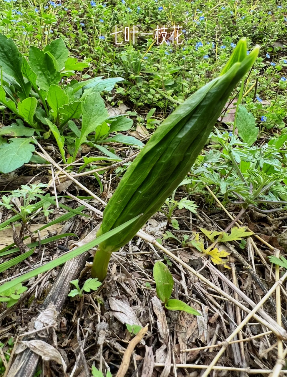 抗癌防癌,守护身体防线