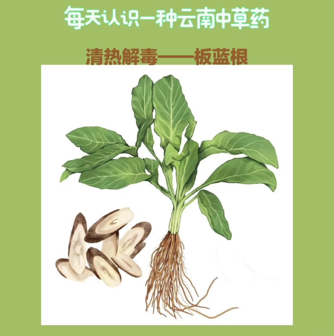 小贴士:合理用药更健康