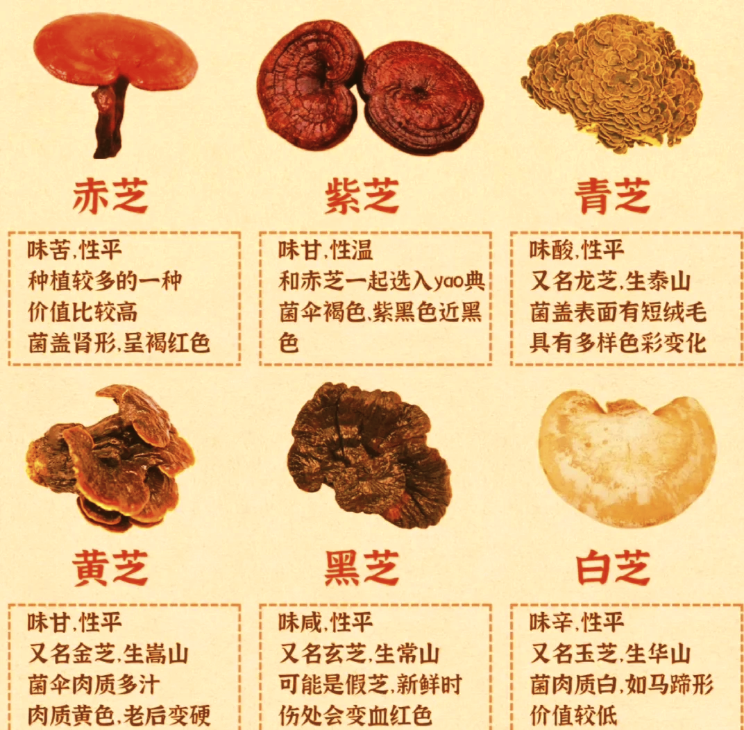 美容养颜,焕发自然光彩