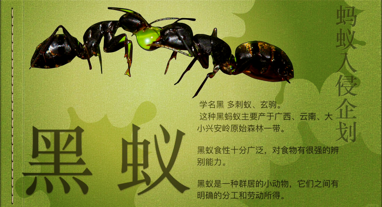 健康益处不容小觑