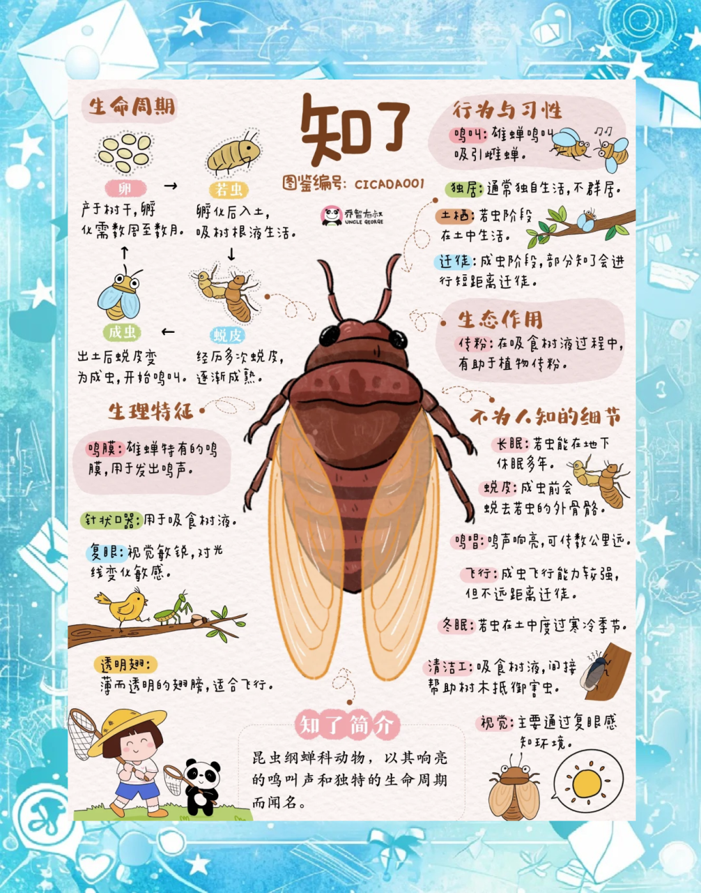 传统与现代的结合