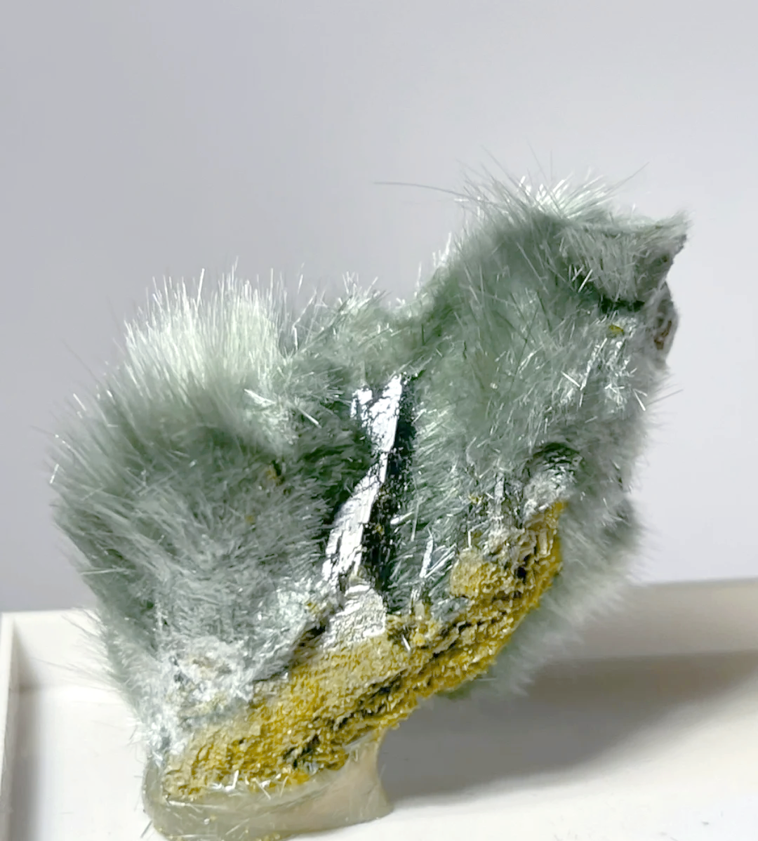 常见的健康应用