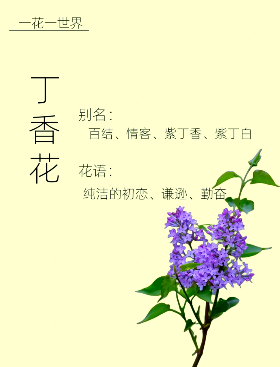 日常生活当中暖心小助手