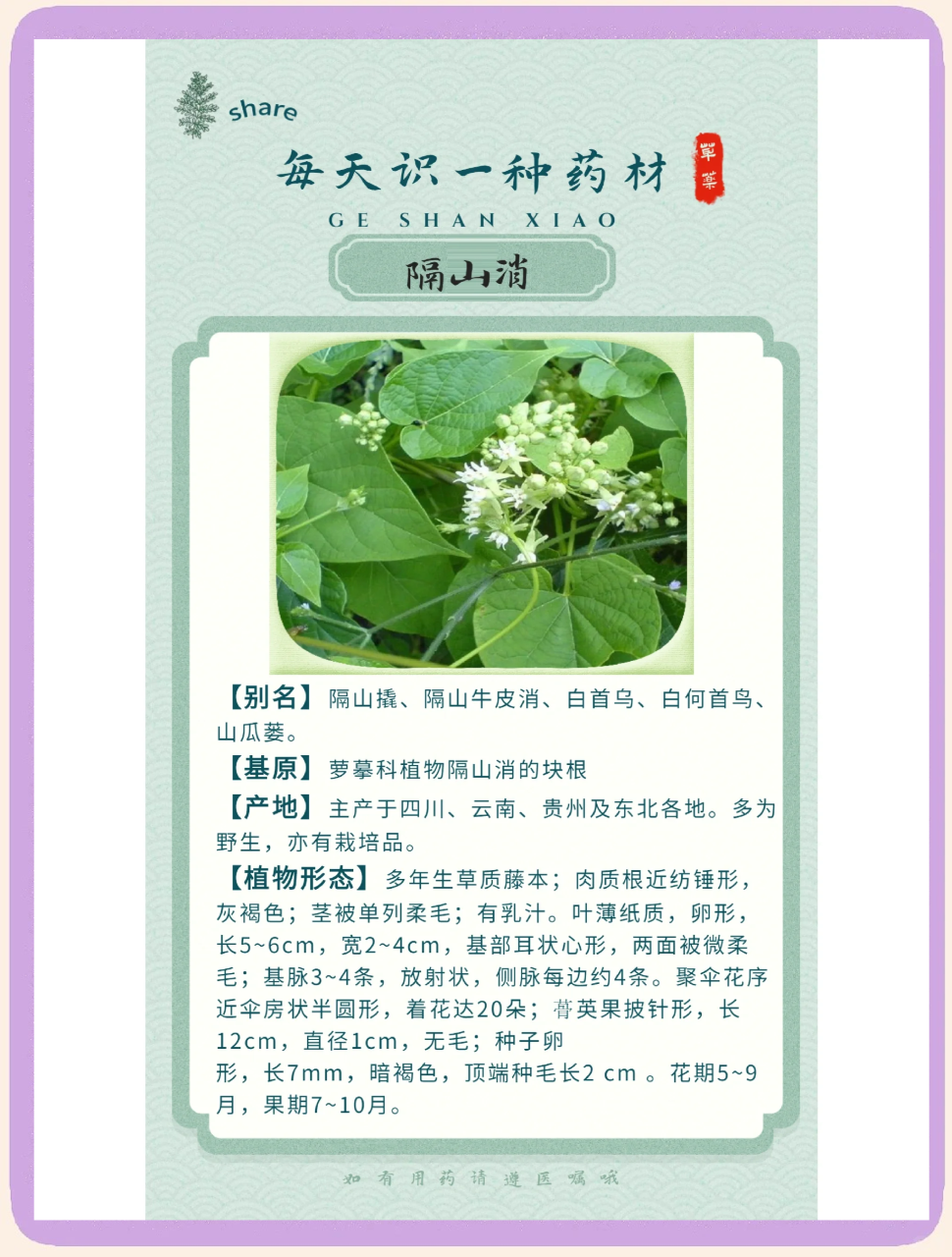 常见的使用方式