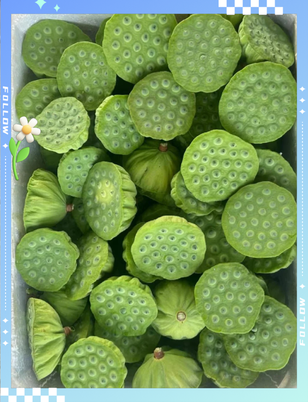 适当食用,收获健康好滋味