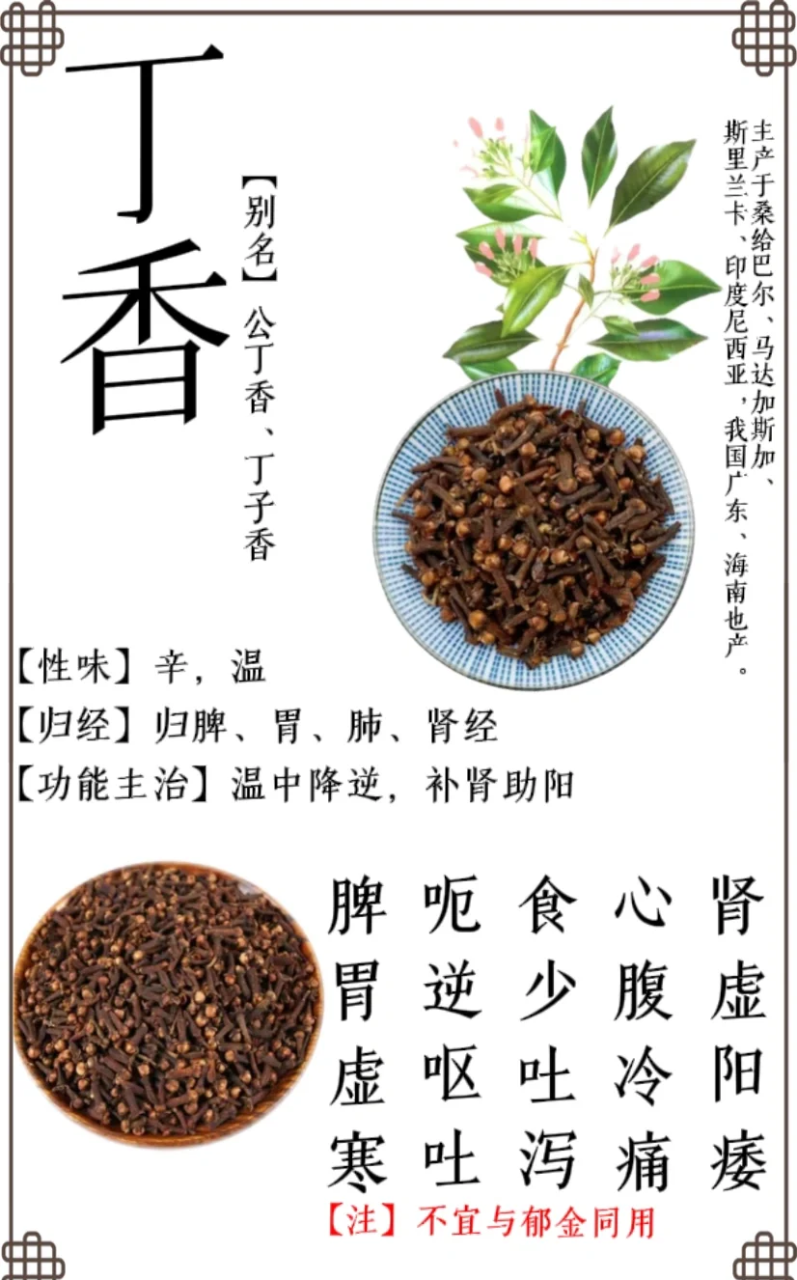 小丁香,大有可为