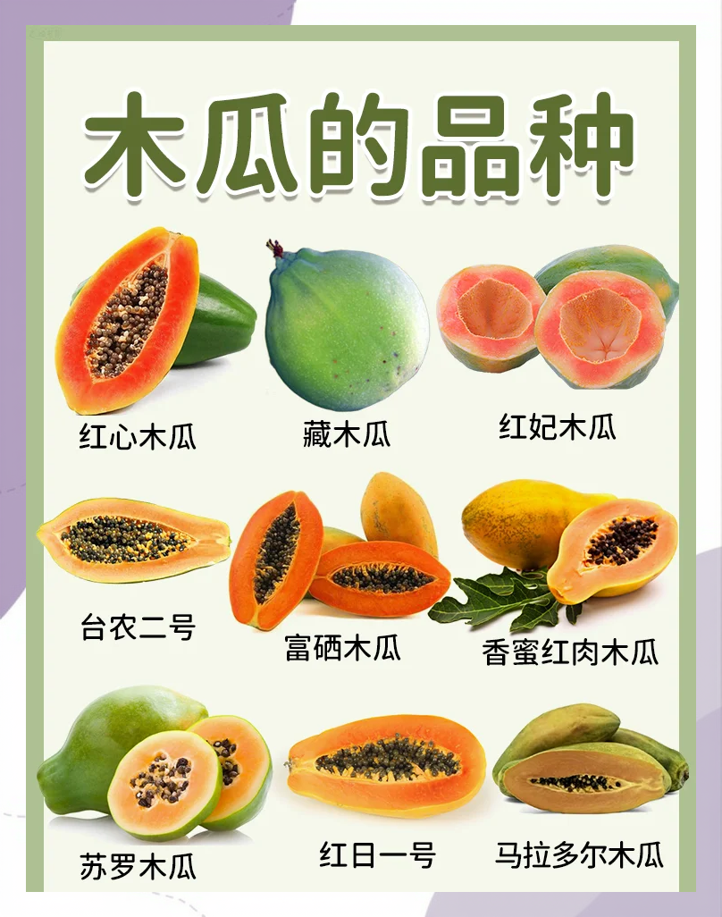 抗氧化,延缓衰老