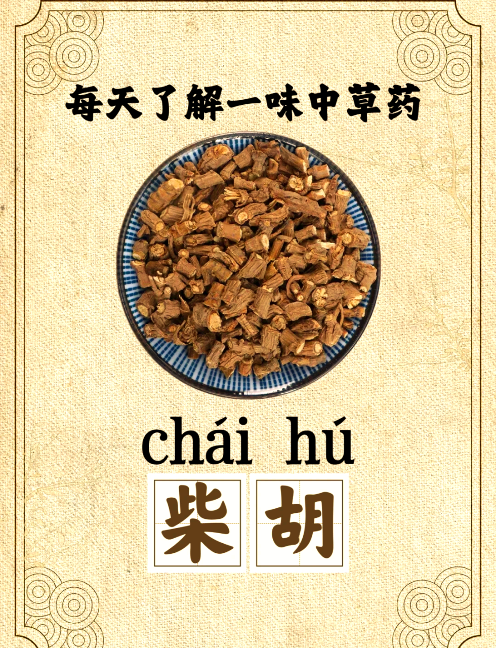 提升免疫力,增强体质