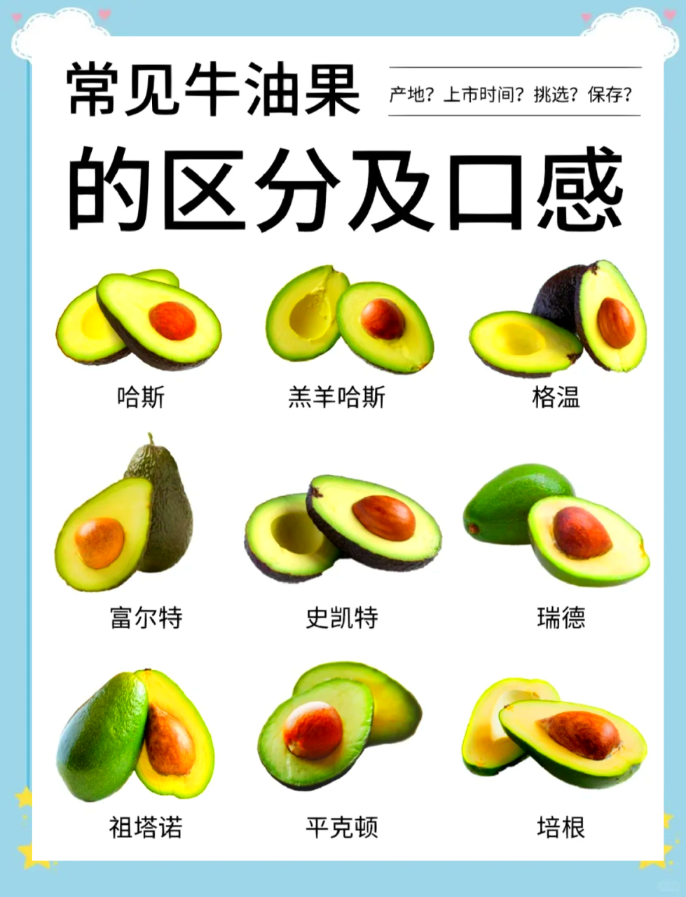 维生素与矿物质的天然宝库