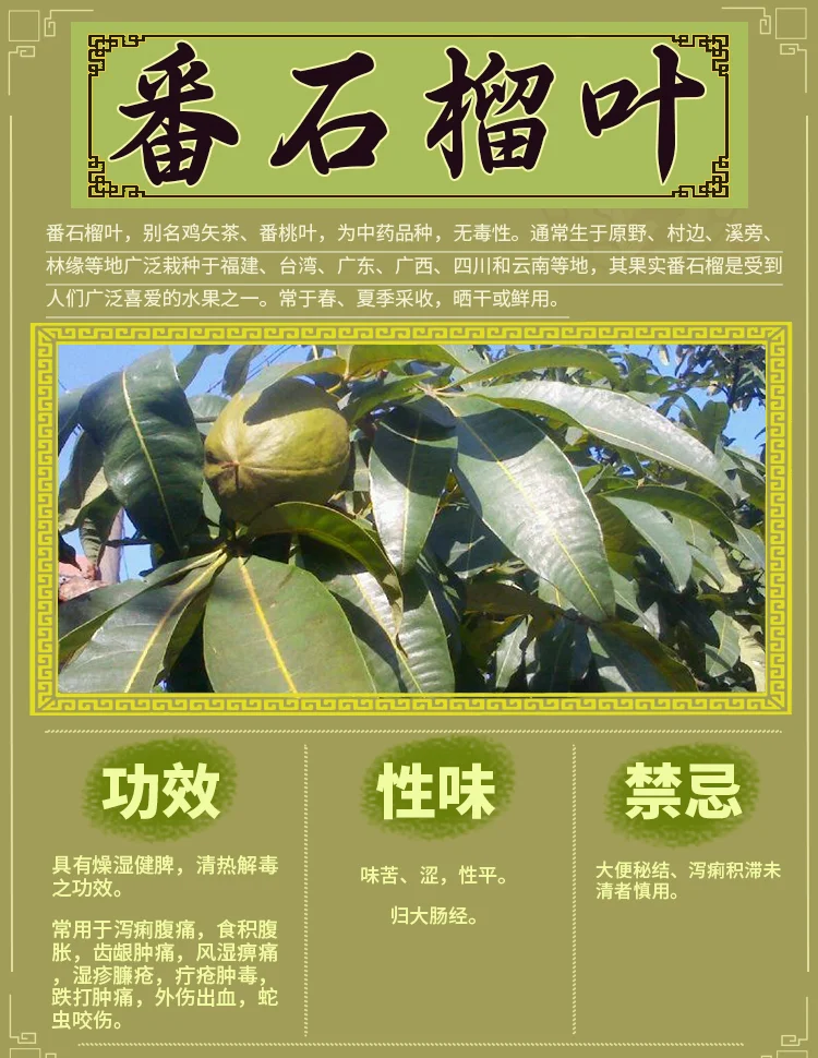 各种各样矿物滋润全身上下